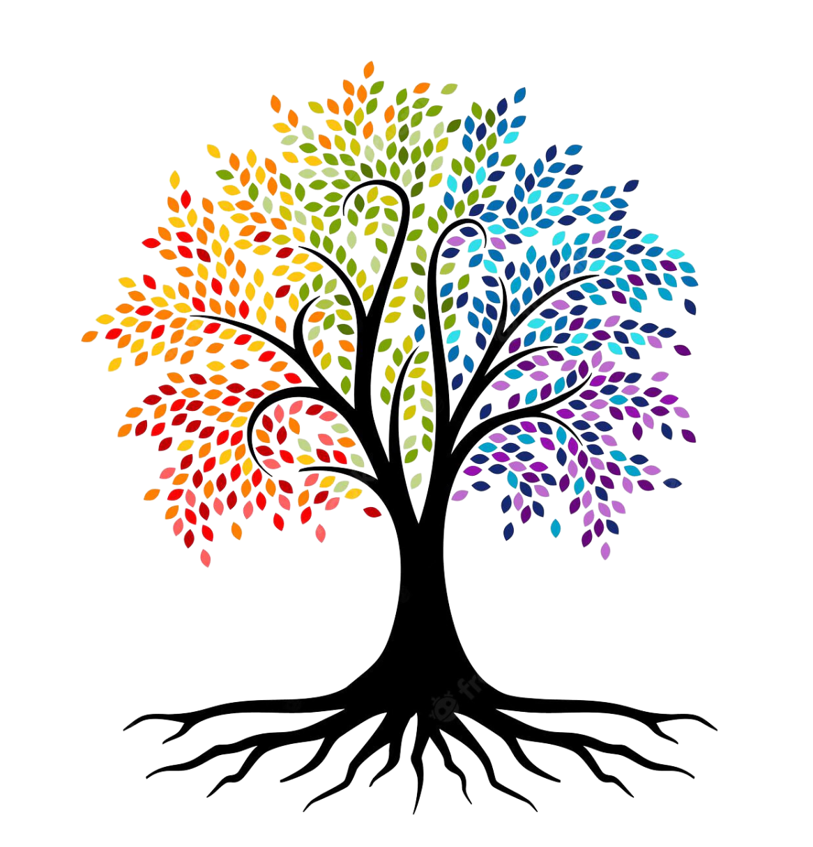 cropped-Best-Life-Logo-Transparent-website-use-only.png